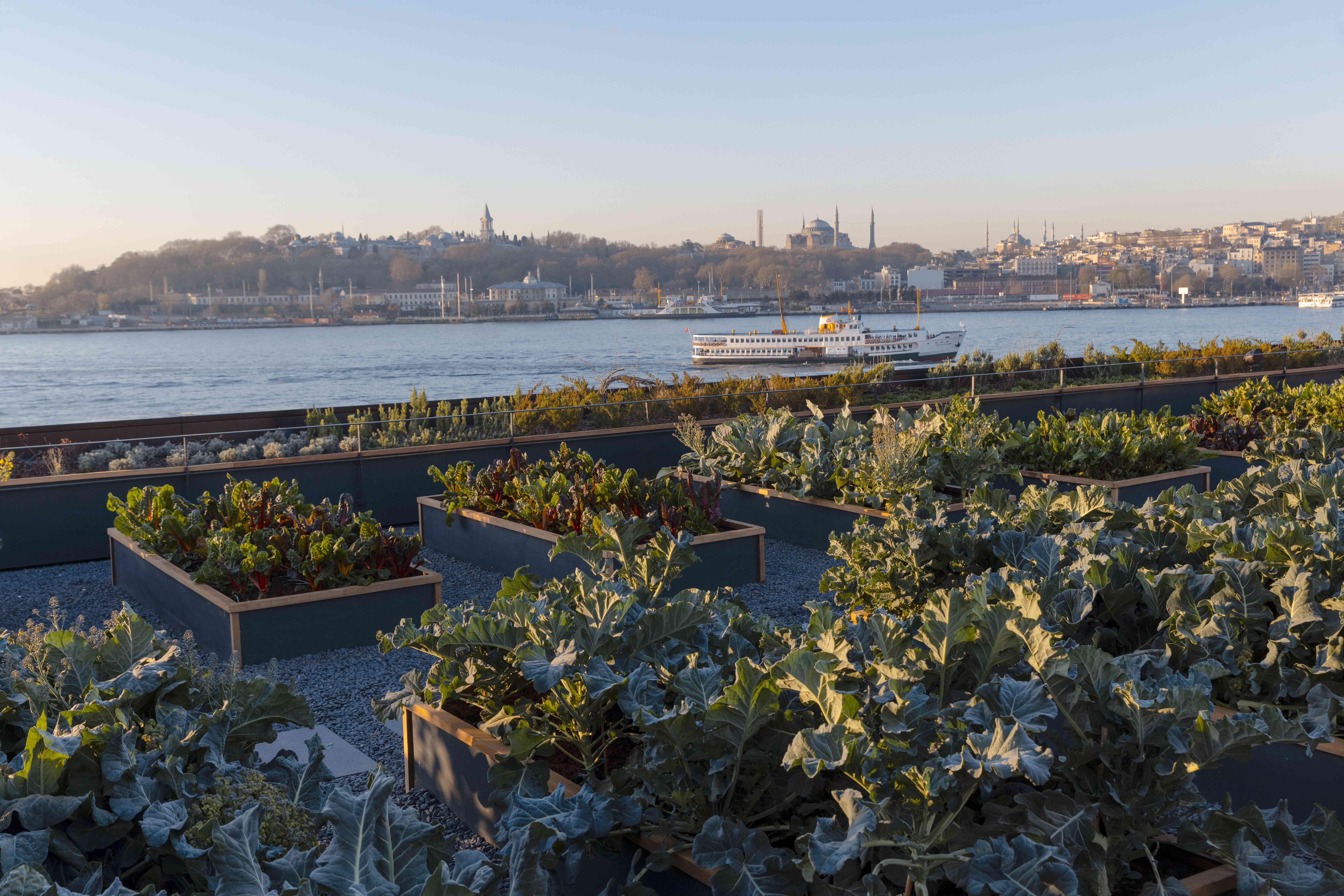 The Peninsula Hotels teras bah&ccedil;esi "Herb Garden"