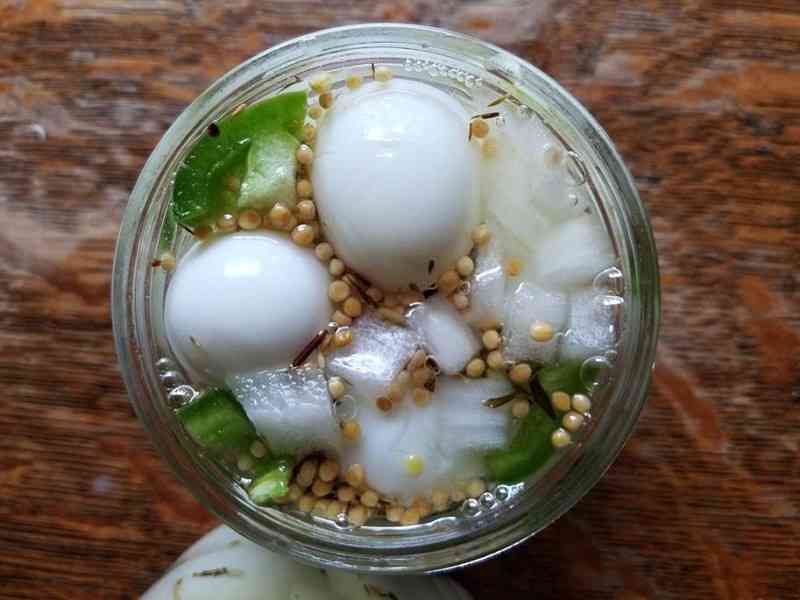 Bıldırcın Yumurtası Turşusu & Pickled Egg