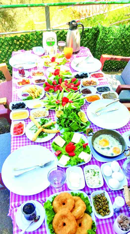 Kızılca Vadi