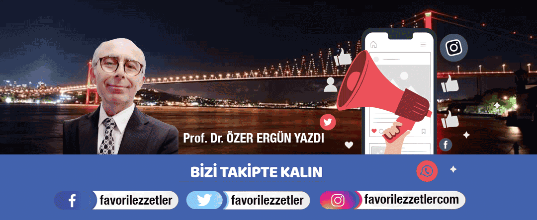 Prof. Dr. Özer Ergün 